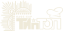 Логотип компании Тип-Топ