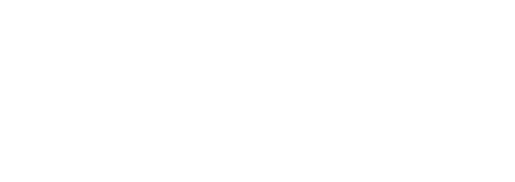 Логотип компании Роко