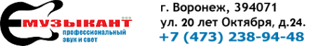 Логотип компании Музыкант