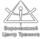 Логотип компании Воронежский Центр Тренинга