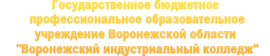 Логотип компании Воронежский индустриальный колледж