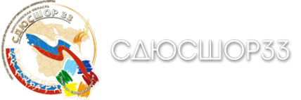 Логотип компании СДЮСШОР №33