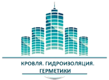 Логотип компании БИЗНЕС СТРОЙ+