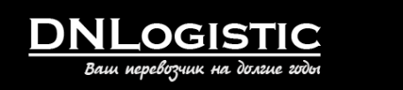 Логотип компании ДНЛогистик