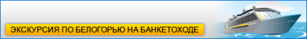 Дельфин-2