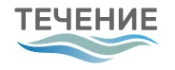 Течение в Воронеже