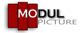 ModulPicture