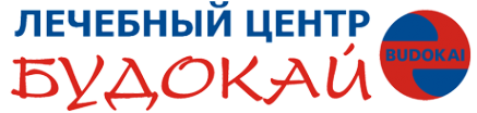 Логотип компании Будокай