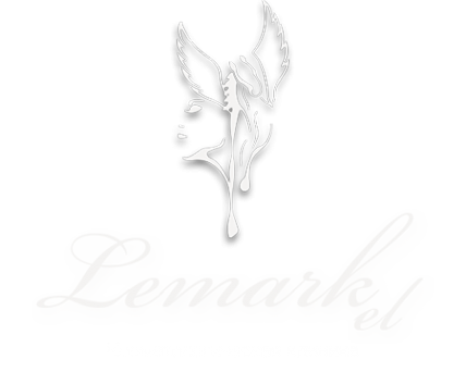 Логотип компании Lemarkel