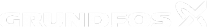 Логотип компании Грундфос