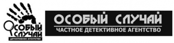 Логотип компании Особый случай