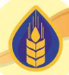 Логотип компании Региональный партнер