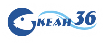 Логотип компании Океан 36