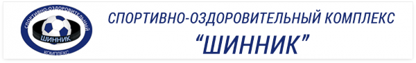 Логотип компании Шинник