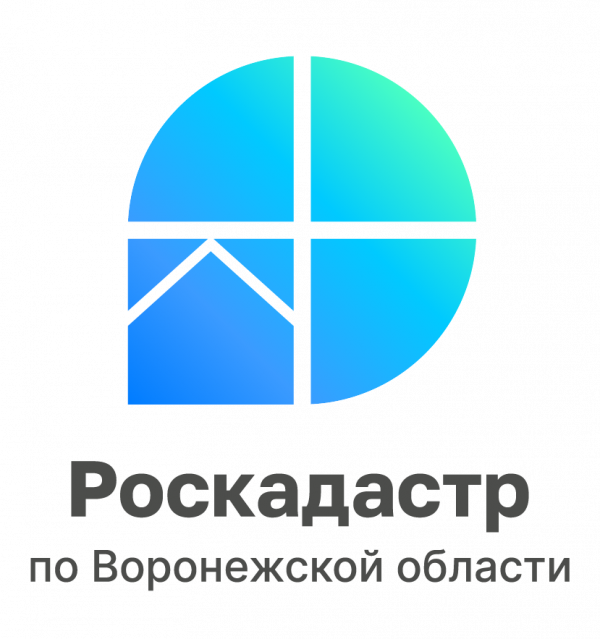 Логотип компании Филиал ППК "Роскадастр" по Воронежской области