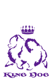 Логотип компании King Dog