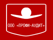 Логотип компании Профи-Аудит