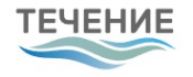 Логотип компании Течение в Воронеже